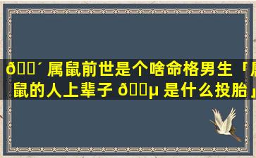 🐴 属鼠前世是个啥命格男生「属鼠的人上辈子 🌵 是什么投胎」